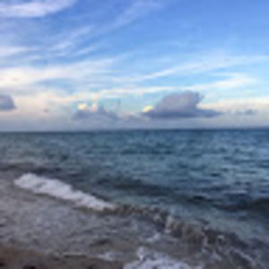 Meet your Posher, Janelle